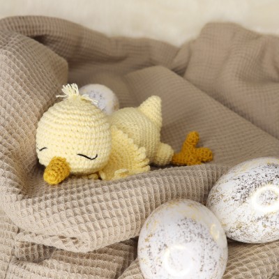 Piou le petit poussin :...